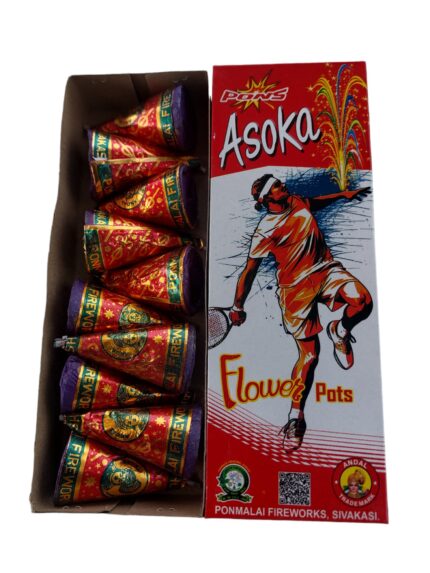 FLOWER POTS ASHOKA