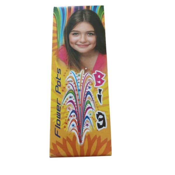 Flower Pots Big (10 pcs)